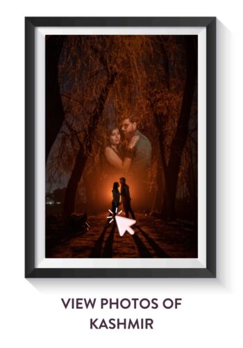08 Kashmir Pre wedding portfolio by VideoTailor