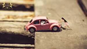 MINIATURE PHOTOGRAPHY