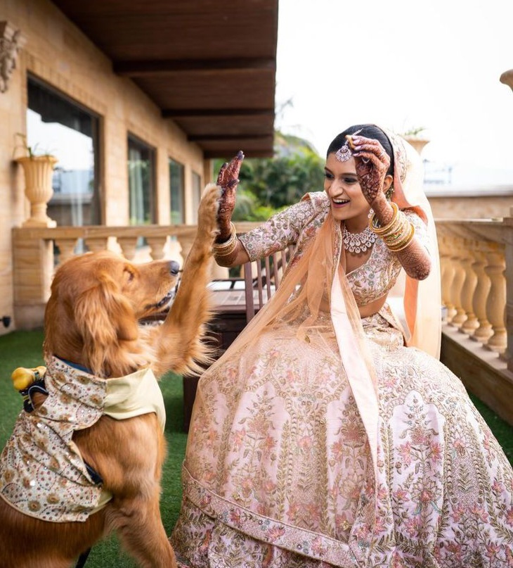 Cool Bridal Wedding Shoot poses - fur baby